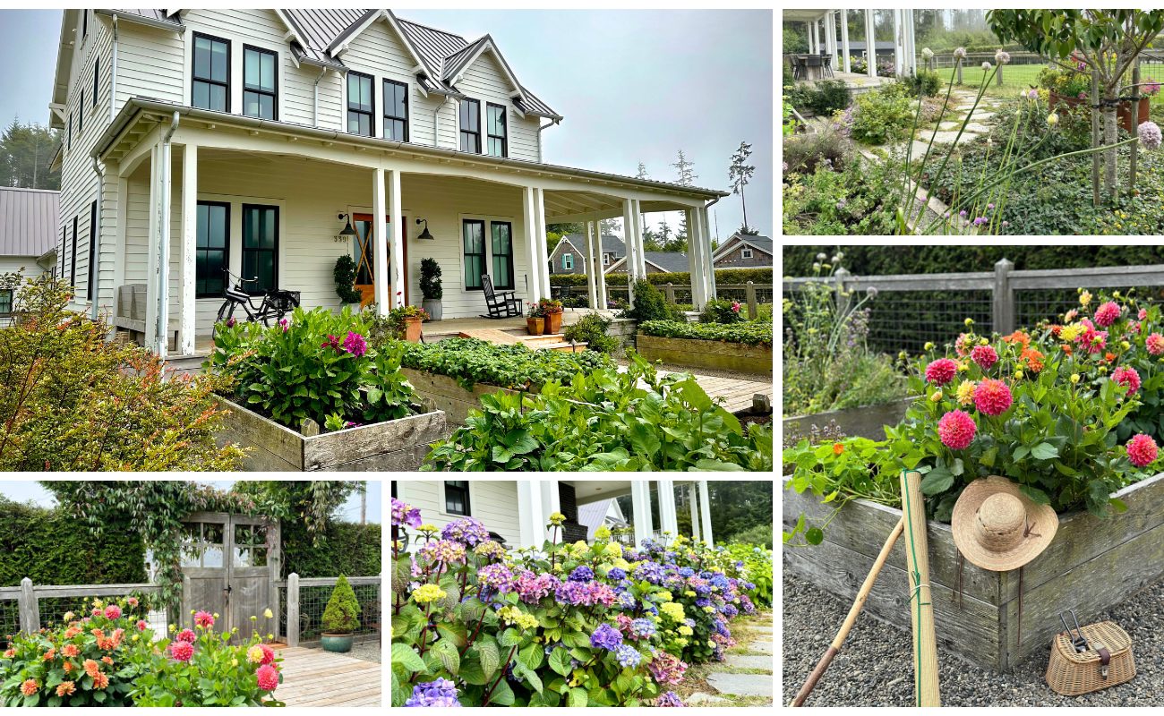 garden-lot-inspo-collage